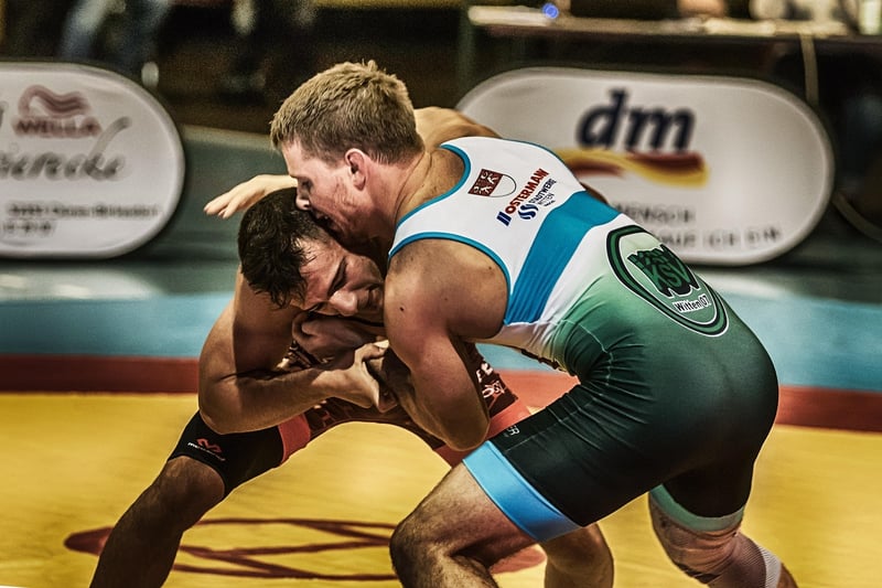 Jiu-Jitsu Fighters